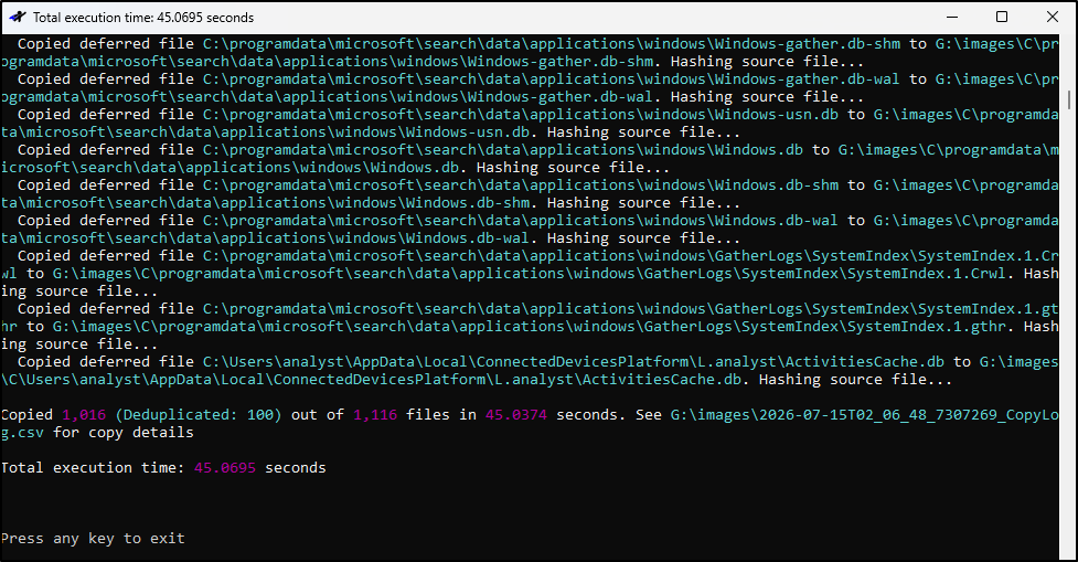 Screenshot: Click Execute to begin collecting artefacts