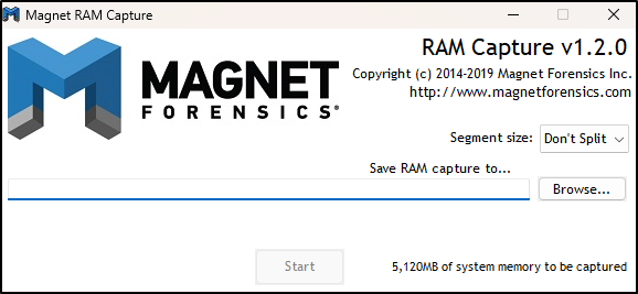 Screenshot: Magnet RAM Capture end user licence agreement