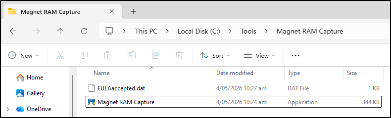 Screenshot: Renamed Magnet RAM Capture executable