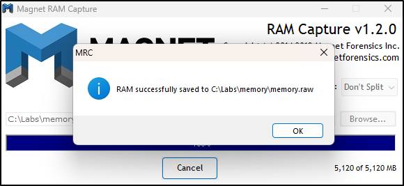 Screenshot: Successful Magnet RAM Capture completion dialogue