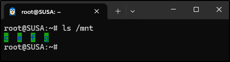 Screenshot: Run the following command to verify that the mounted virtual disk image (E drive) can be seen from Plaso