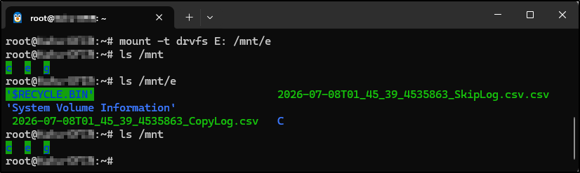 Screenshot: Verify that the drive has been mounted successfully: