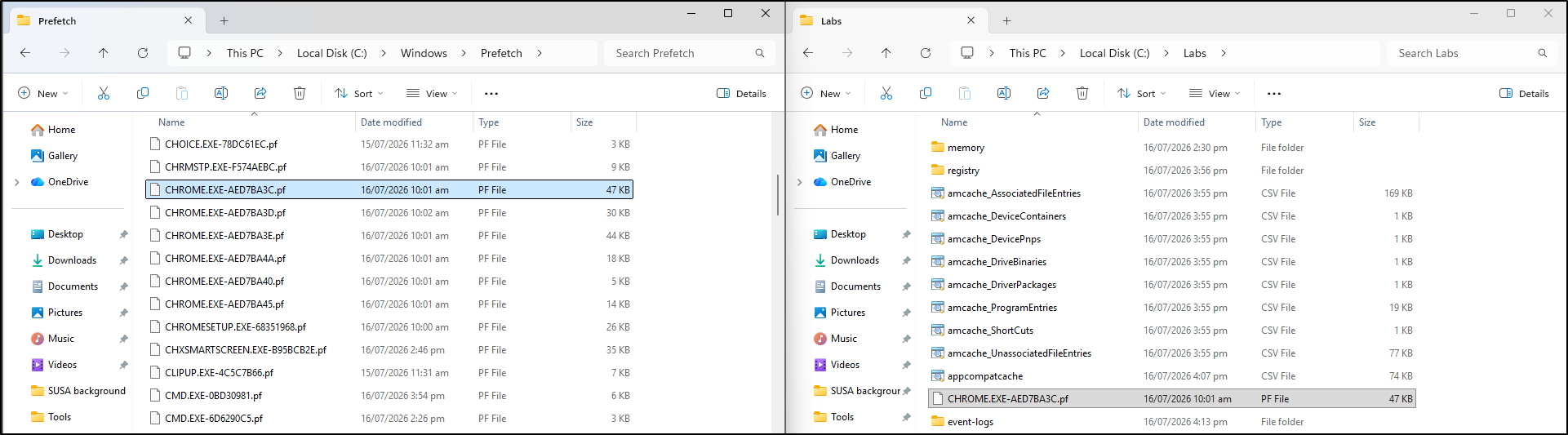 Screenshot: Stage a Chrome Prefetch file for controlled examination