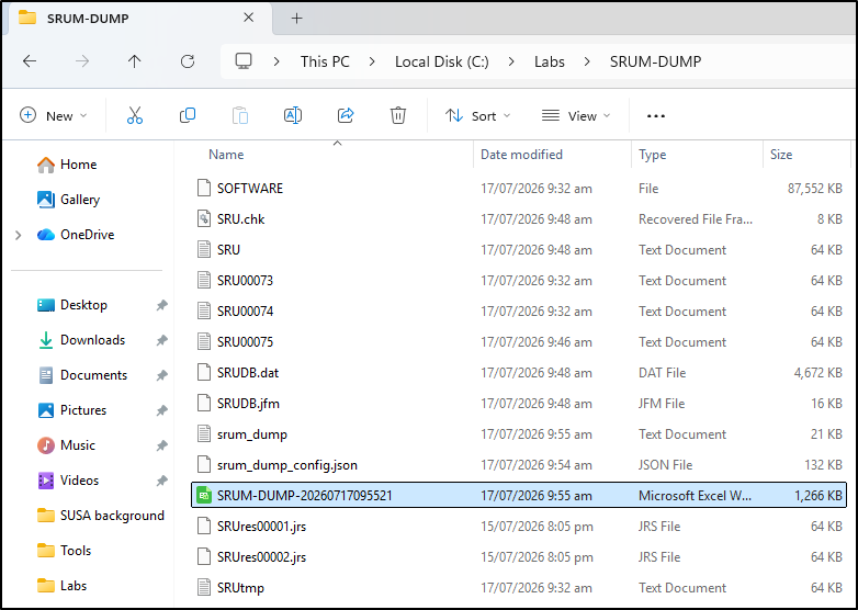 Screenshot: SRUM-DUMP workbook and supporting files in the output directory